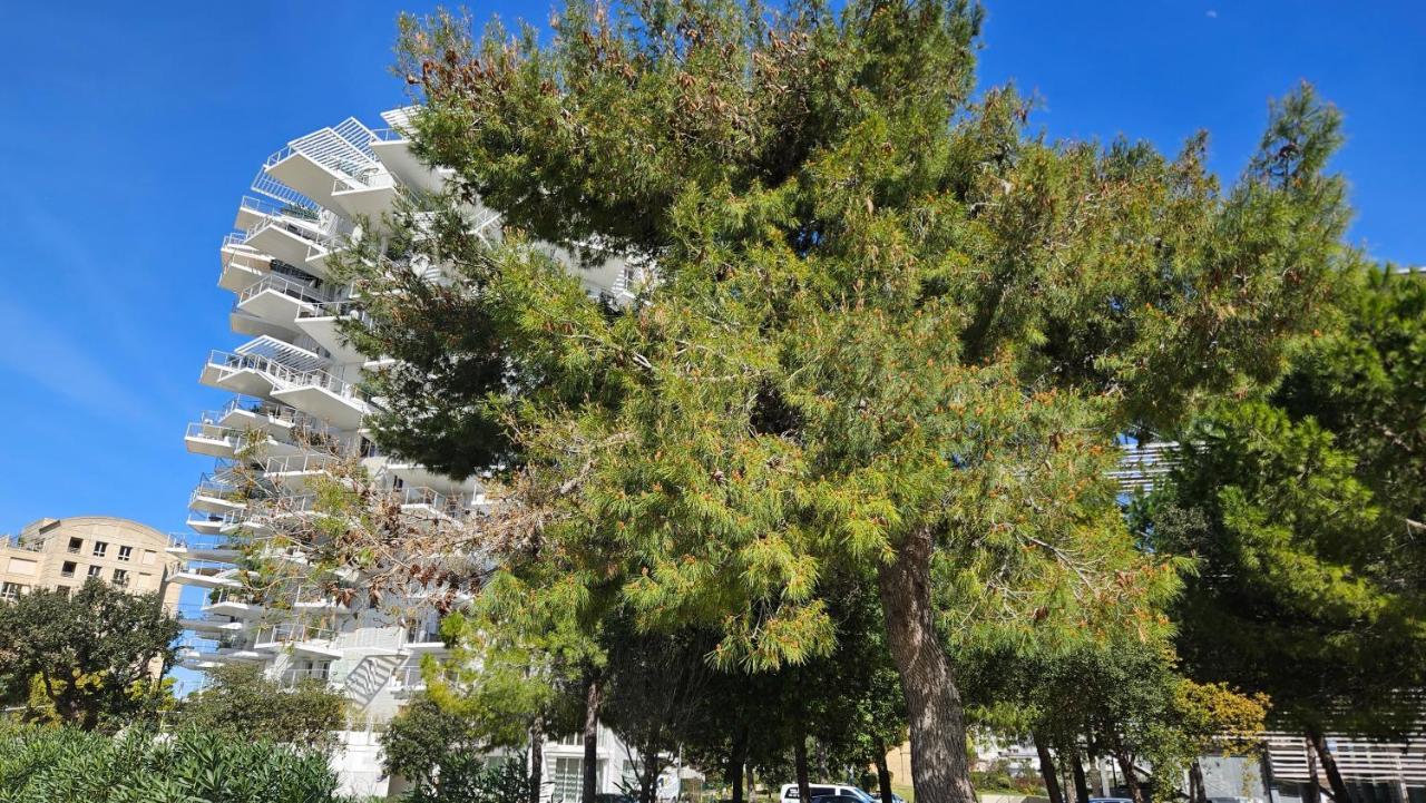 Arbre Blanc, Une Folie Montpellieraine Exterior foto
